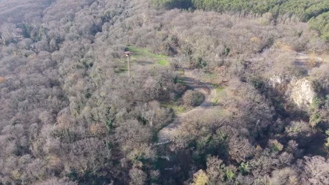 Drone Flight Over Leafless Forest With Green Patches Stock Footage 324889745