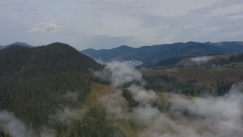Drone flight over low clouds covering dense autumn forest and mountain slopes. 動画素材 169873378