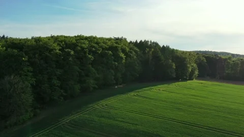 Drone flight over Lower Saxony landscape, Germany Vídeos de archivo 134402748