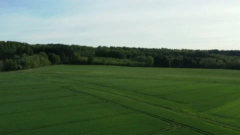 Drone flight over Lower Saxony landscape, Germany Stock Footage 134403106