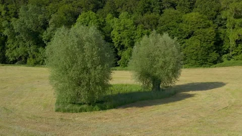 Drone flight over Lower Saxony landscape, Germany Stock Footage 134410778