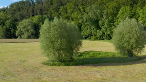 Drone flight over Lower Saxony landscape, Germany Stock Footage 134410784