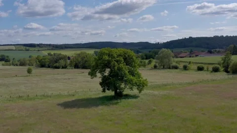 Drone flight over Lower Saxony landscape, Germany Stock Footage 134414820