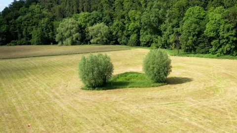 Drone flight over Lower Saxony landscape, Germany Stock Footage 134415057