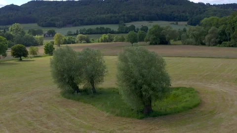 Drone flight over Lower Saxony landscape, Germany Stock Footage 134415458