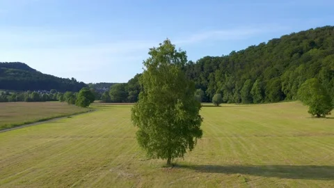 Drone flight over Lower Saxony landscape, Germany Stock Footage 134415478