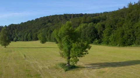 Drone flight over Lower Saxony landscape, Germany Stock Footage 134415480