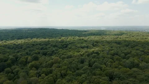 Drone flight over lush canopy of trees blue grey skies and white clouds Stock Footage 296818748