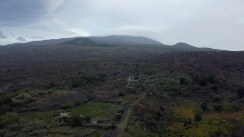 Drone Flight Over Lush Green Tree Towards Etna Volcano and Mountains Stock Footage 315124019