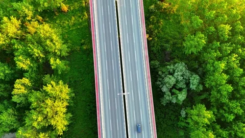 Drone Flight Over Lush Riverside Vegetation and Bridge at Sunrise 動画素材 308378873