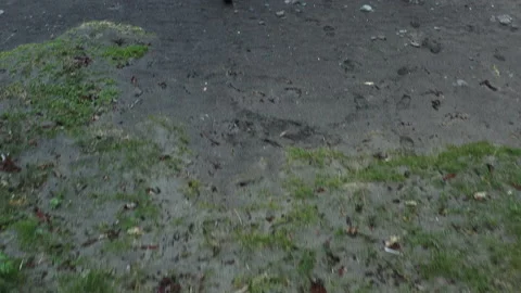 Drone Flight Over Man Walking Towards Sea Video stock 134286420