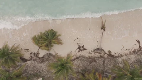 Drone Flight Over Mandel Beach Pristine Coastal Paradise I D Log M LOG Format Stock Footage 317376598