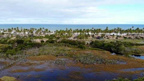 Drone flight over marsh, trees and resort. Imbassaí Beach. Bahia, Brazil. Vídeo Stock 117043056