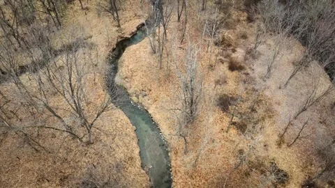 Drone flight over a meandering stream 스톡 동영상 243115861