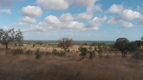 Drone flight over the midland Stock-Footage 100068925