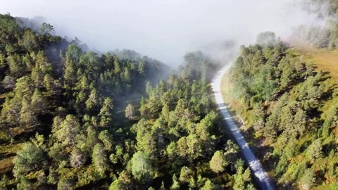 Drone Flight Over a Misty Mountain Road in the Forests of Olden, Norway Stock-Footage 342324399