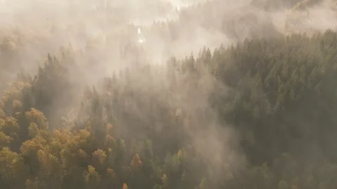 Drone flight over a misty river 動画素材 346602187