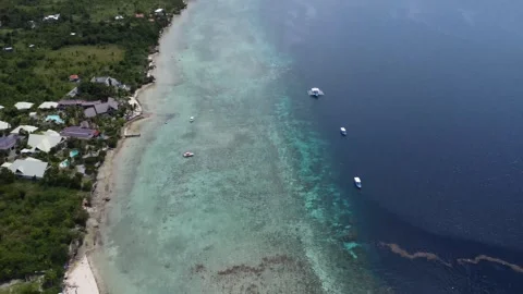 Drone flight over Moalboal White Beach coastline with tropical sea jungle an Stock Footage 335395807