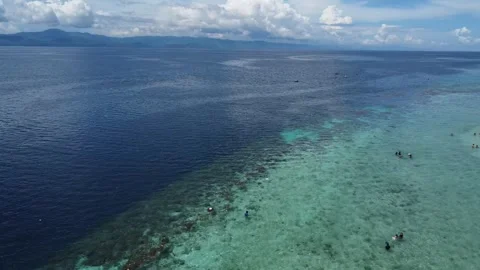 Drone flight over Moalboal White Beach coastline with tropical sea jungle an Stock Footage 335396310