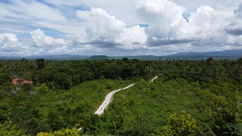 Drone flight over Moalboal White Beach coastline with tropical sea jungle an Stock Footage 335397266