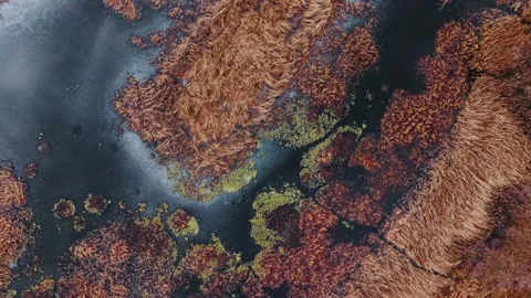 Drone Flight Up over the Mogs in Winter Highlighting the Texture Stock Footage 323330910