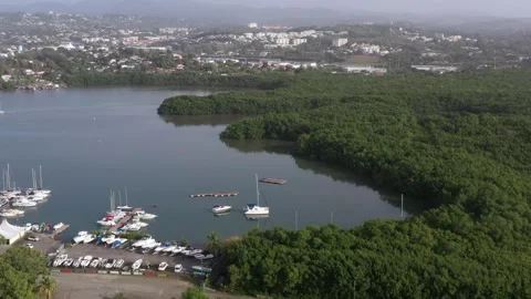 Drone Flight Over Morne Cabri Marina and Mangrove in Morning Light Stock Footage 318244573