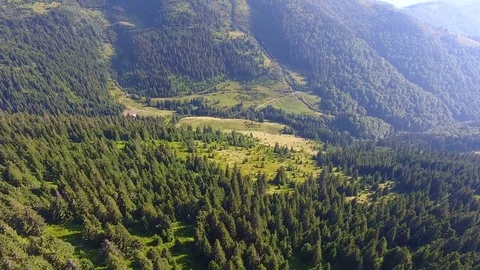 Drone flight over mountain with forest Stock Footage 80602625
