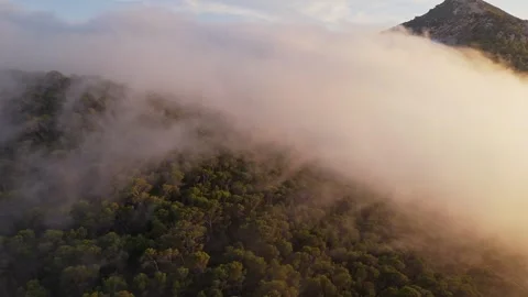 Drone flight over mountain forest covered in clouds at sunset Stock Footage 314605307