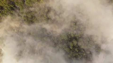 Drone flight over mountain forest with clouds in foreground Stock Footage 314605725