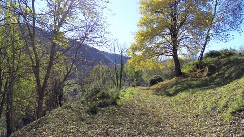 Drone Flight Over a Mountain Landscape in the Alps Video stock 332417071