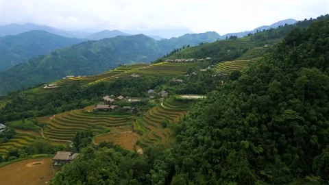 Drone Flight Over Mountain Rice Terraces in Hoang Su Phi Vietnam Video stock 344948734