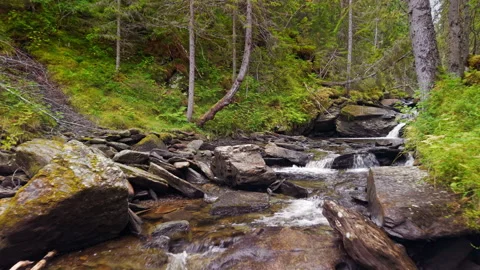 Drone Flight Over Mountain Stream and Rocks in Nordic Forest Stock Footage 319942749