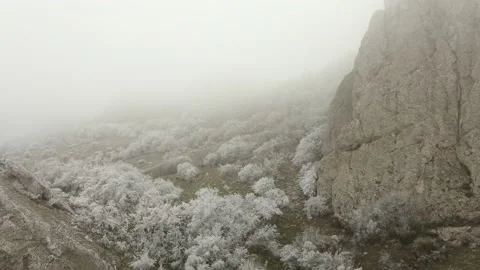 Drone flight over a nature reserve in winter. Rocks and Plants in White Stock Footage 163664859
