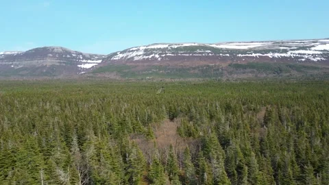 Drone Flight Over Newfoundland Forest with Mountain Backdrop Stock Footage 253266718