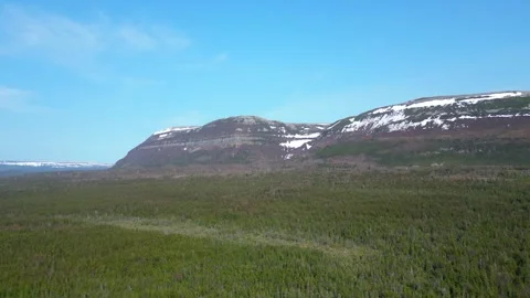 Drone Flight Over Newfoundland Forest Stock-Footage 253266904