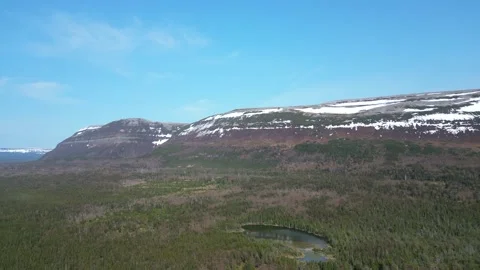Drone Flight Over Newfoundland Forest with Snow-Capped Mountains Background Stock Footage 253267860