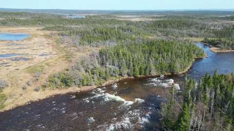 Drone Flight Over Newfoundland Landscape with Meandering River Video stock 253265326
