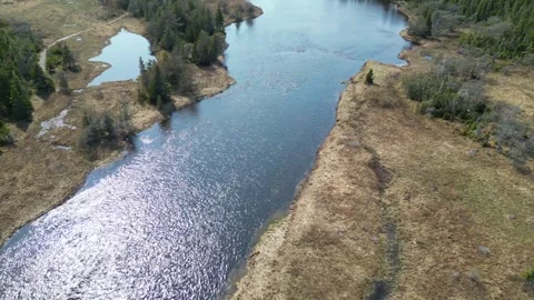 Drone Flight Over Newfoundland Landscape with Meandering River Video stock 253265798