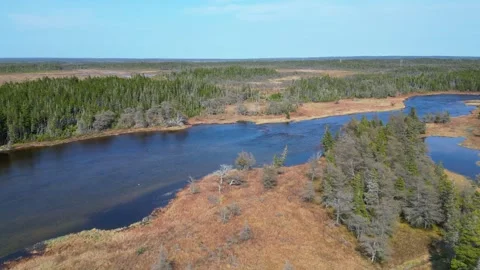 Drone Flight Over Newfoundland Landscape with Meandering River Stock Footage 253266592
