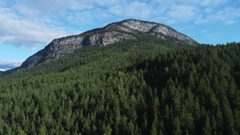 Drone flight over norway forest with cliff and blue sky in background Sunny day Video stock 301320489