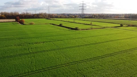 Drone Flight Over Oat Field,  Forest and View above City Of Berlin Stock Footage 203793071