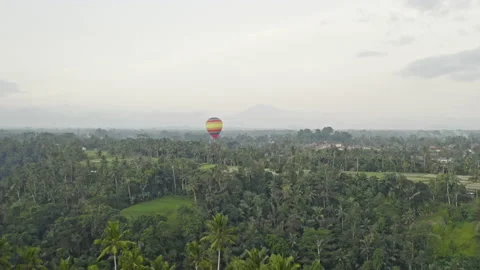 Drone Flight Over Paddy Fields With Hot Air Balloon Stock Footage 146102629