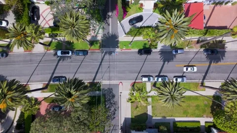 Drone Flight Over Palm-Lined Street in Beverly Hills, California Vídeo Stock 313160830