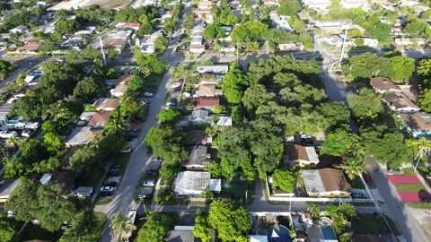 Drone Flight Over Palm-Lined Miami Suburb at Golden Hour Stock Footage 343320973