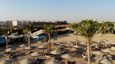 Drone flight over palm trees and sea in Egypt Stock Footage 129252038