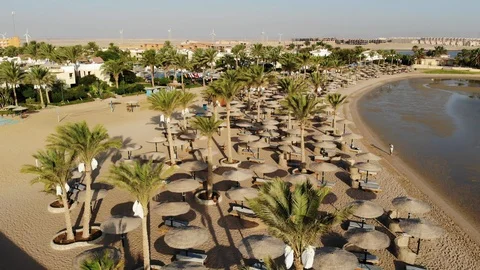 Drone flight over palm trees and sea in Egypt Stock-Footage 129252256