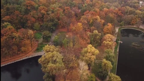 Drone flight over a park with two lakes, autumn with beautiful foliage. It's a Stock Footage 143314444