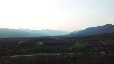 Drone flight over partially devastated landscape aftermath forest fire in Video stock 165191578