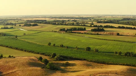 Drone flight over pastures and wheat fields in summer in mecklenburg-western Stock Footage 163093109