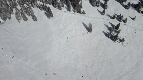 Drone flight over a pine forest with snow. Mountain in Italy. Stock Footage 105915390